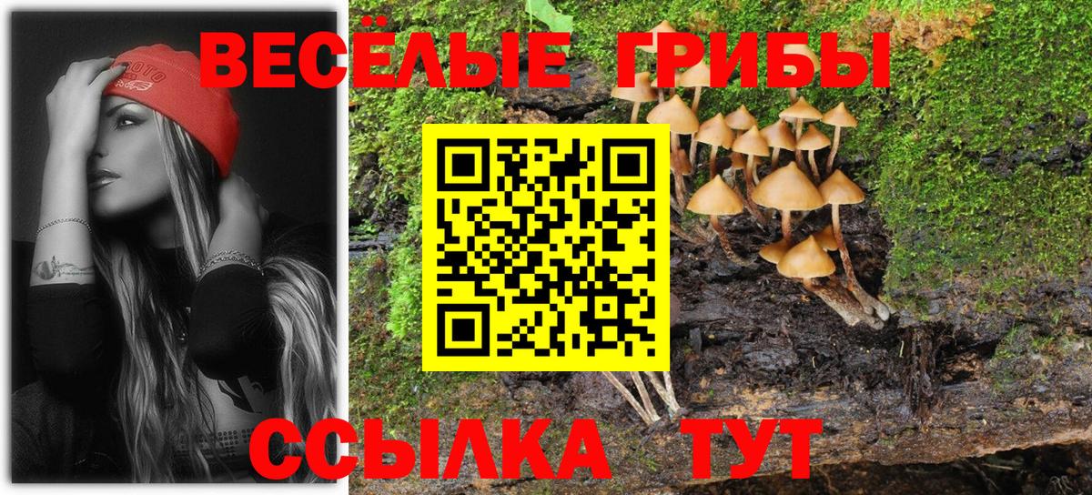 Псилоцибиновые грибы GOLDEN TEACHER Тамбов